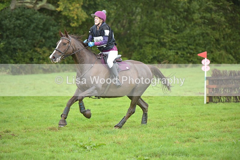 RAY_0497 - Class 4: 80cm: Double of Brushes