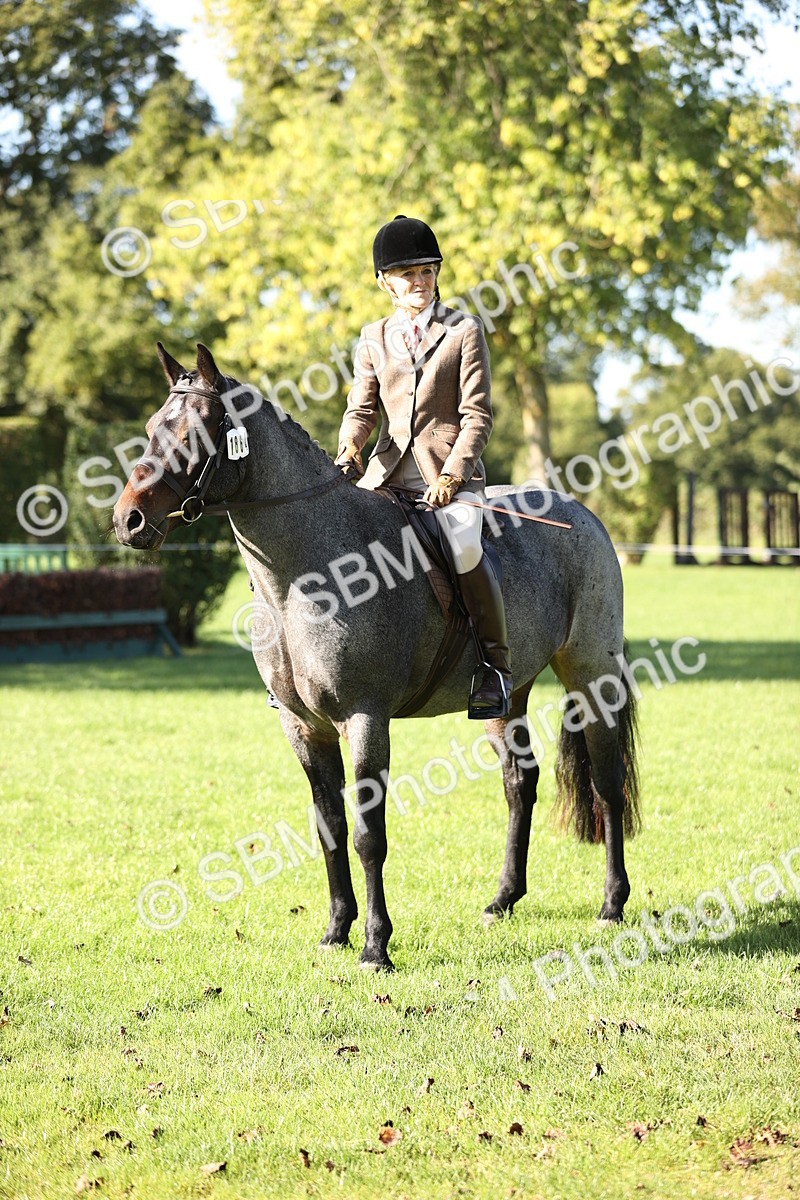 SBM_16855 - S2 - TSR Ridden Pony Showing