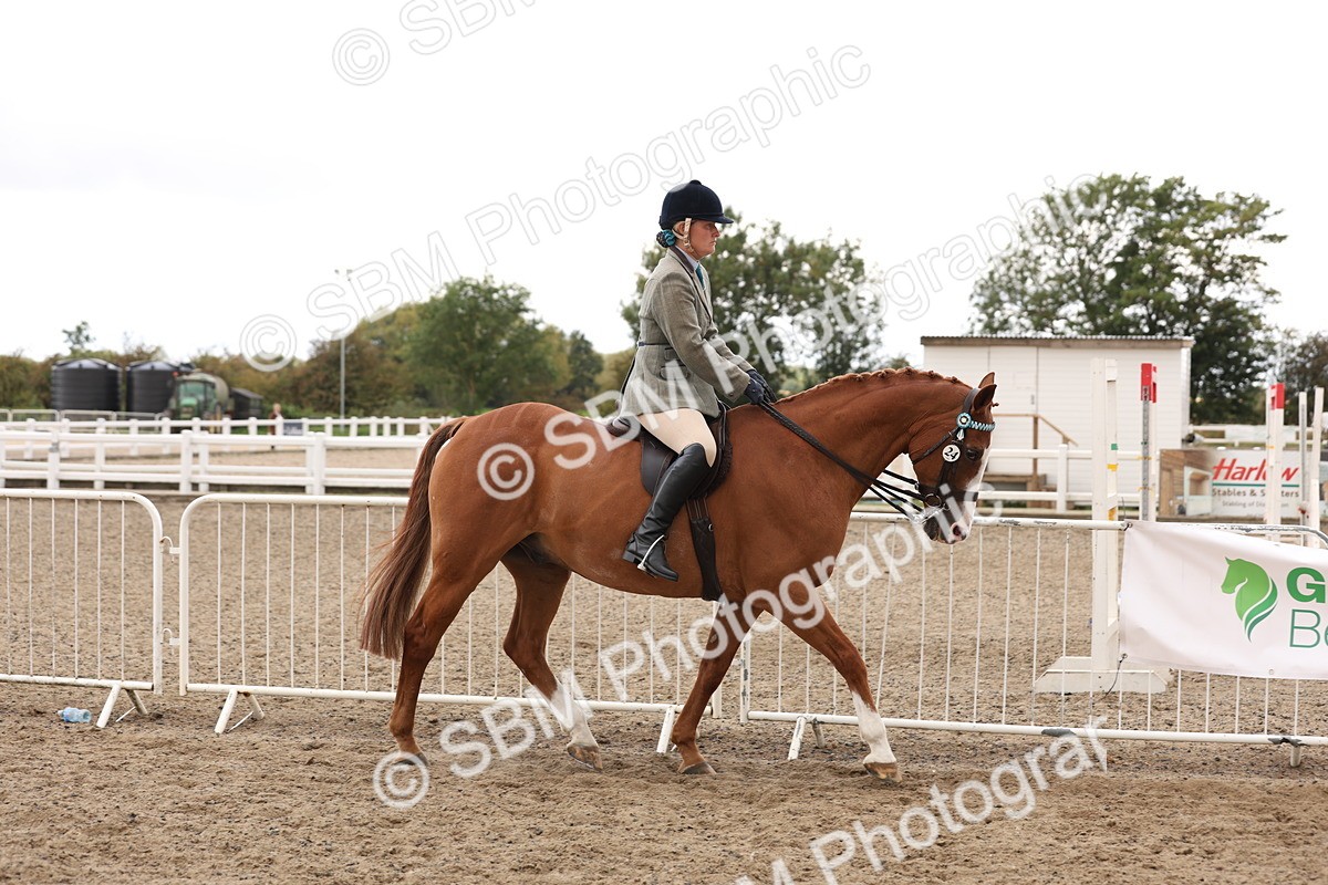 SBM_04182 - Class 54 - Riding Club Horse/Pony