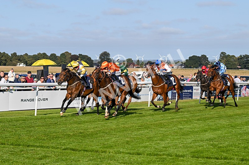 180924-Race 6-Elegant Erin-5037 - Race 6