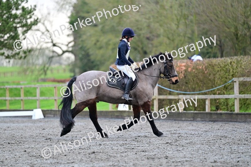 20260125-3608 - Class 12 - Novice