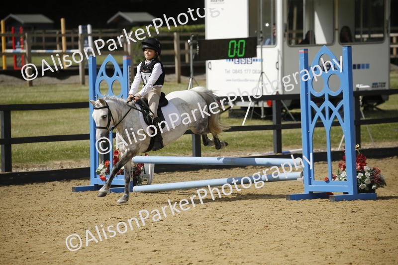 20250622-3770 - 50cm