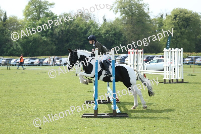 20260426-1511 - Class 14 - Novice 60cm