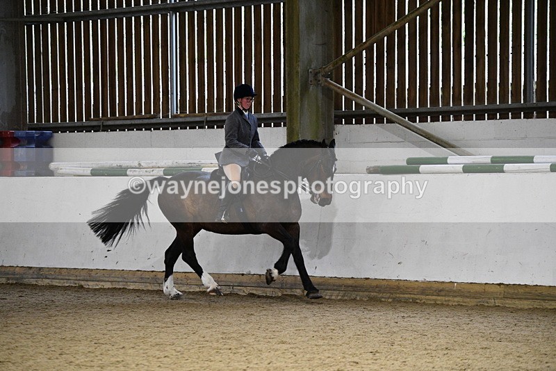 WJ5_8874 - Class 15 Ridden Show Horse