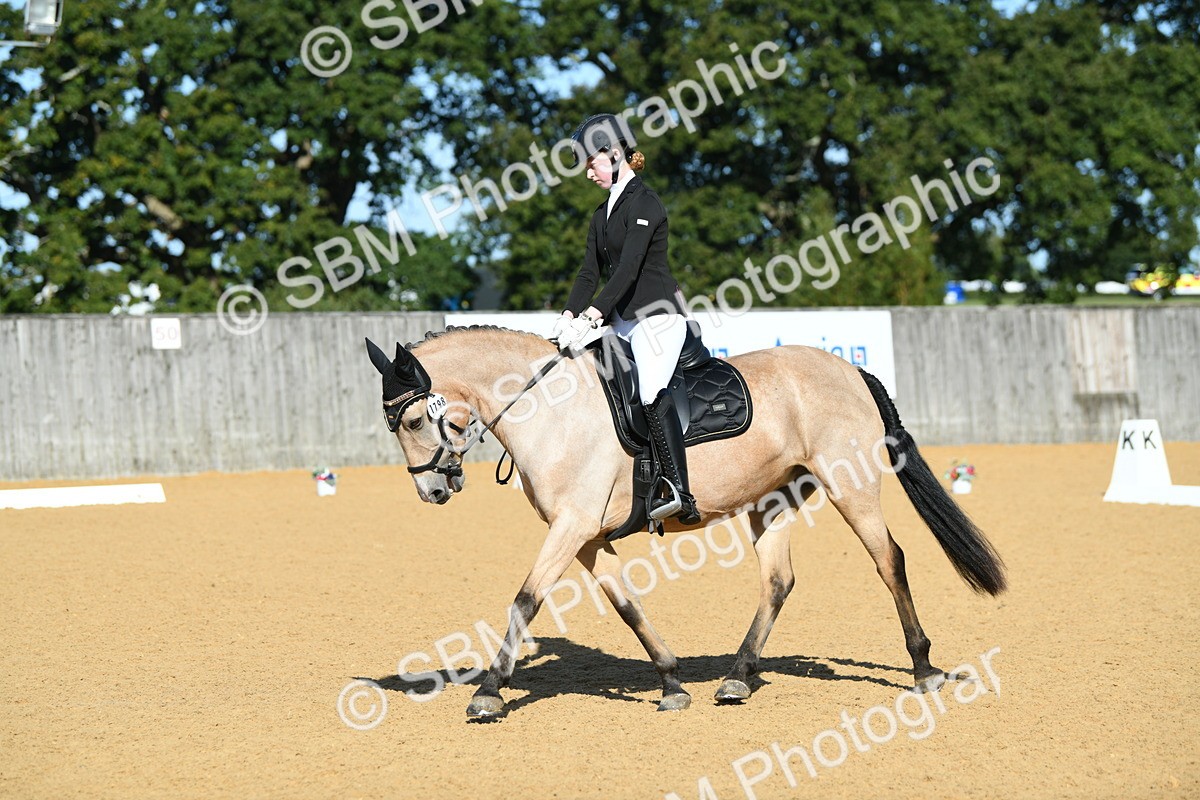 SBM_17879 - D4 - Small Tour Championship - Intro B