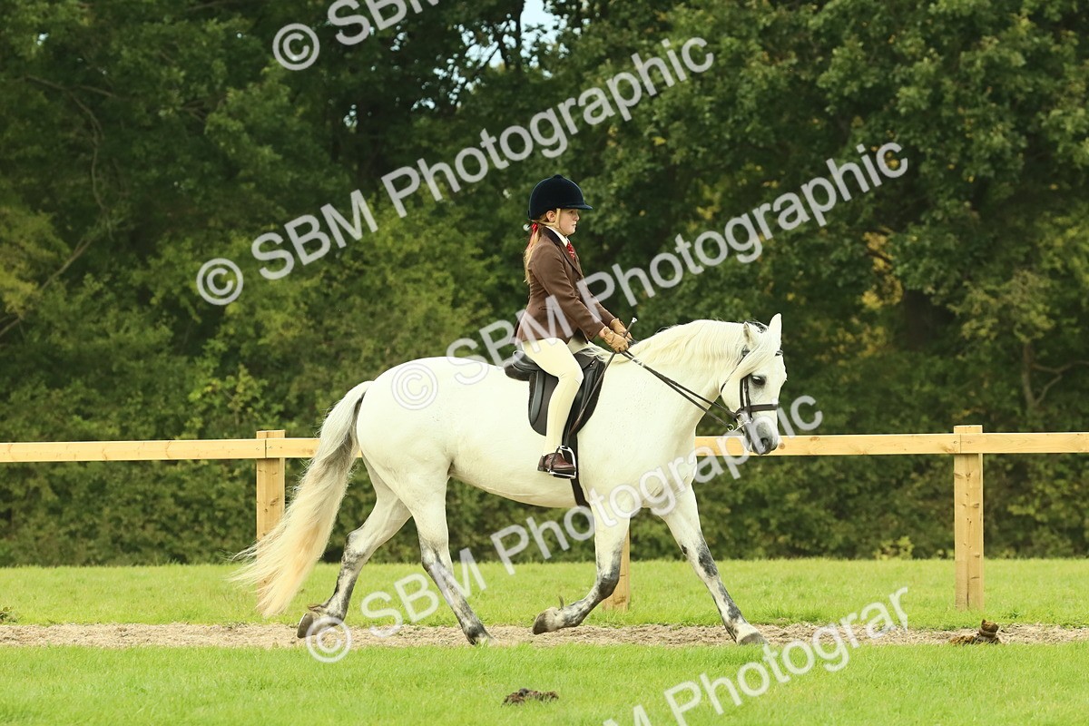 SBM_71843 - S60 - Mountain & Moorland Ridden Large Breeds
