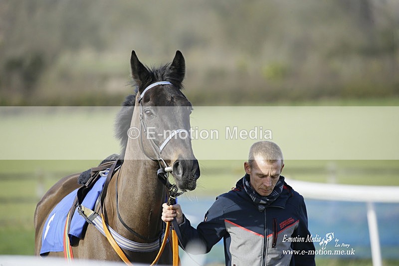 PtP 260222 534 - Kingston Blount Racing Club Point-to-Point 26/02/22