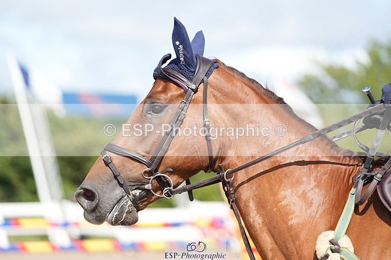 250720-104116-18832 - Cls 12, 1 Star Bronze Tour Accumulator