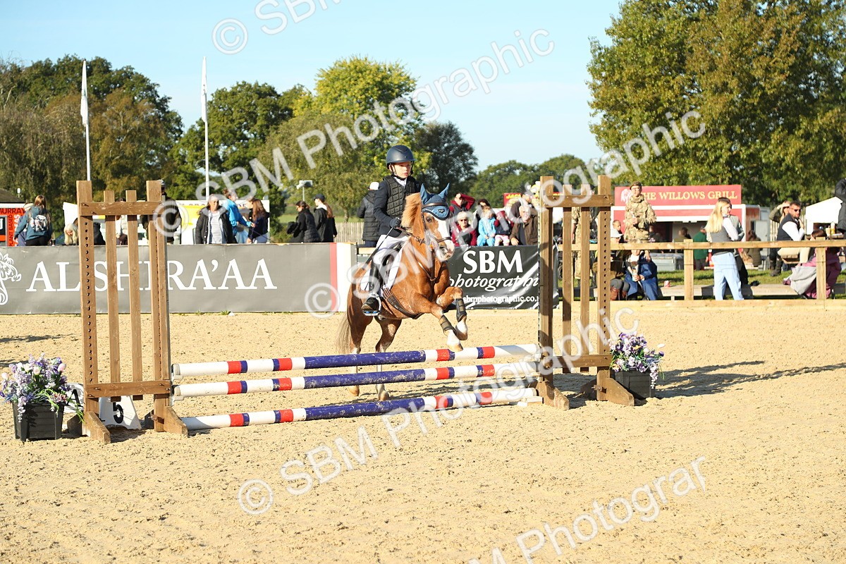 SBM_35000 - J5 - Junior Pony 50cm Championship