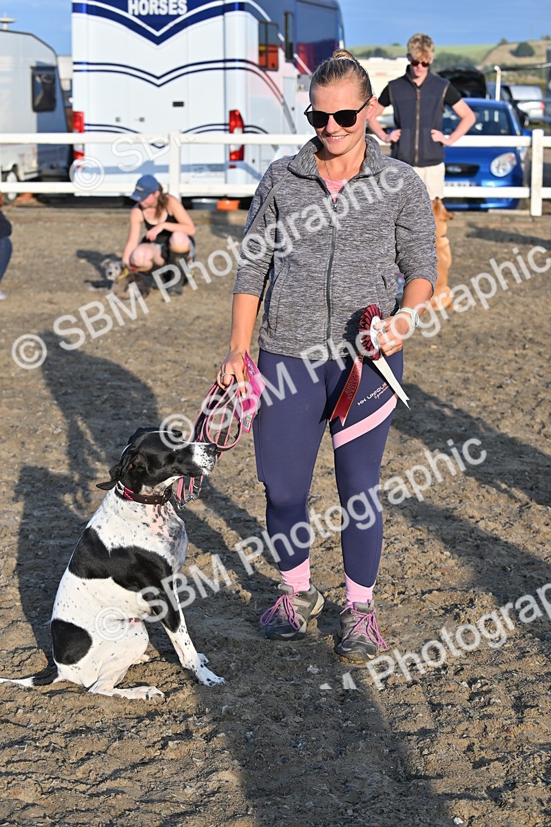 SBM_09459 - Lorry Dogs