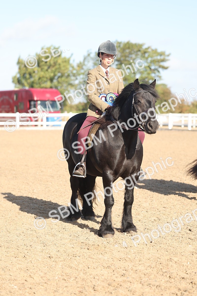 SBM_22246 - Class 802 - Ridden Groom Helpers Class