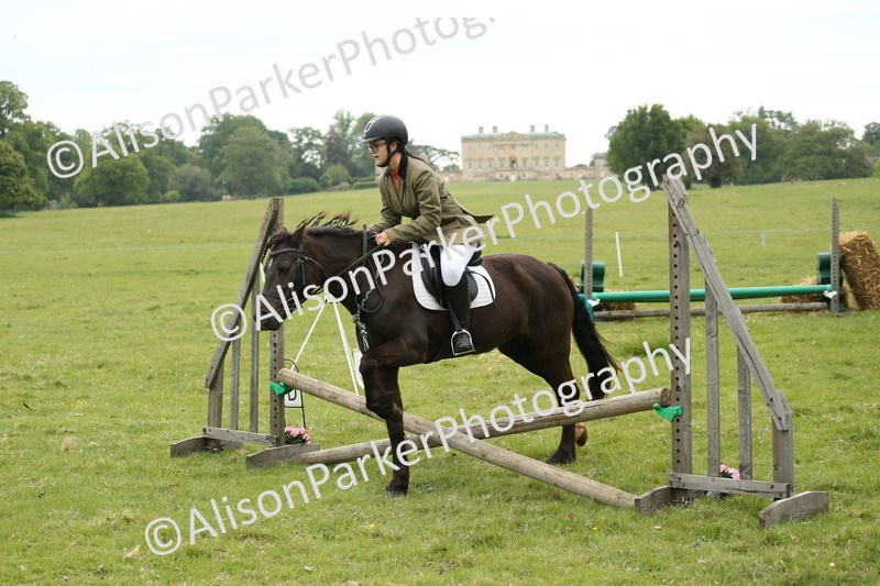 20250517-1012 - Class 21 - Novice Working Hunter