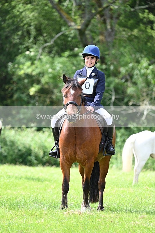 WJ7_1374 - Class 11 Condition & Turnout