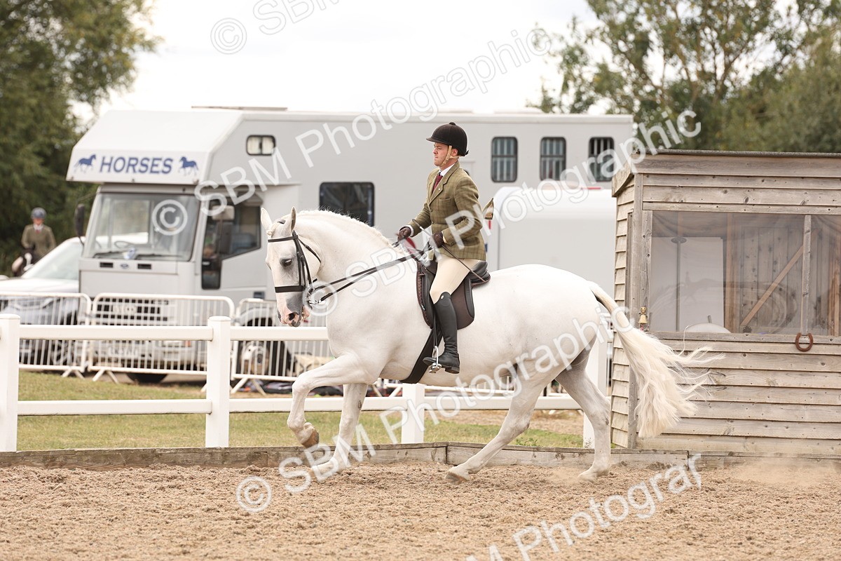 SBM_17253 - Class 213 - Ridden Hunter - Large