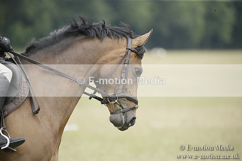B230619-0615 - Bourne Valley Riding Club Summer Show 23/06/19