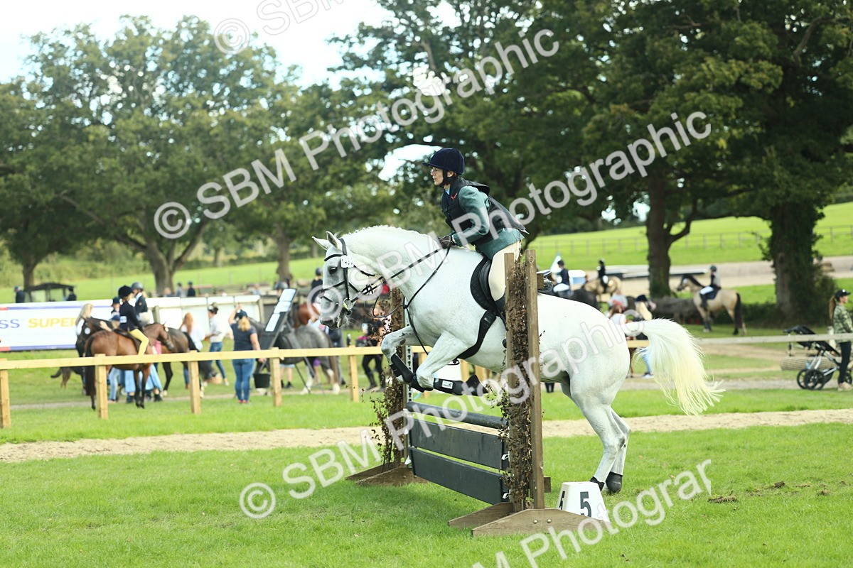 SBM_50594 - S33 - Working Hunter & Working Show Horse
