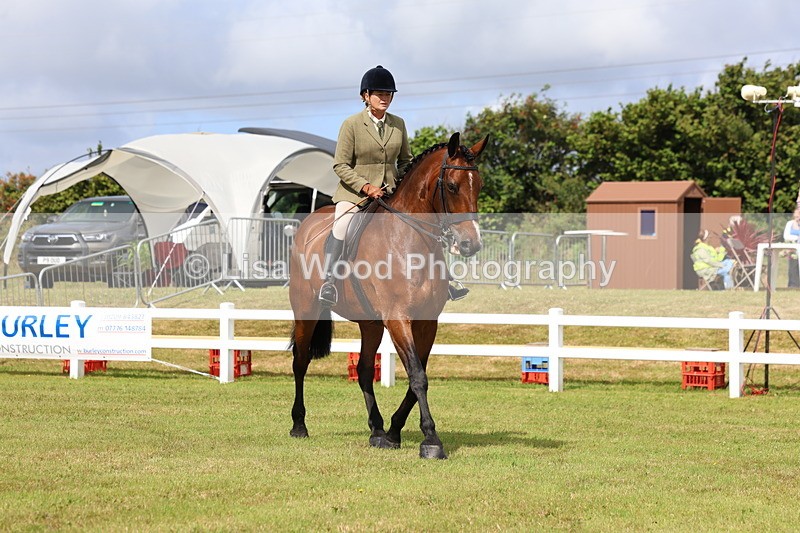 3E7A9389 - Class 4: Rising Star M/H Hunter