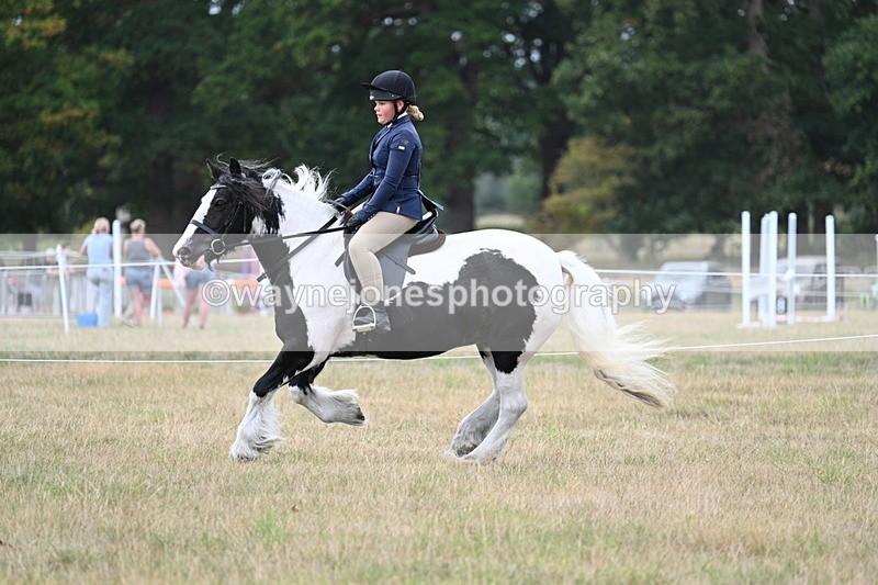 WJ7_5122 - Class 12 Ridden Cob