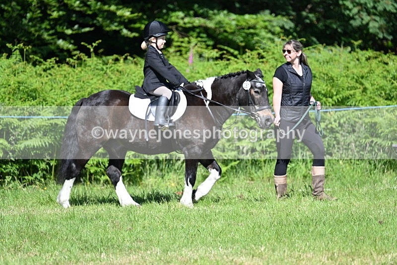 WJ7_0662 - Class 8 First Rally Pony