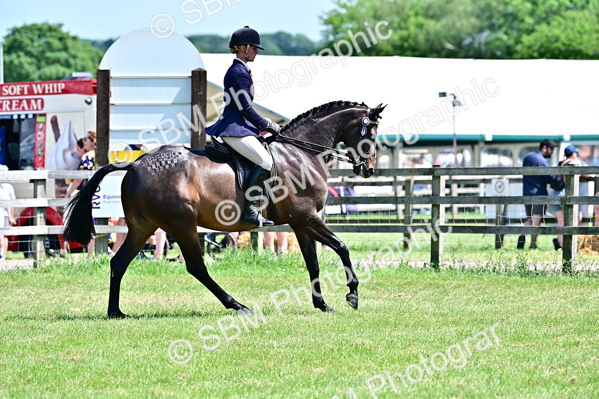 SBM_17506 - Class 95-97 - BSPS LHS Performance Ponies