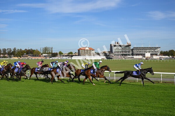 yr08102021r4-25 - Race 4 3.50pm Casumo Dare To be Different Handicap