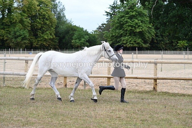 WJ7_8728 - Class 4a Prettiest Mare 14.2hh and over