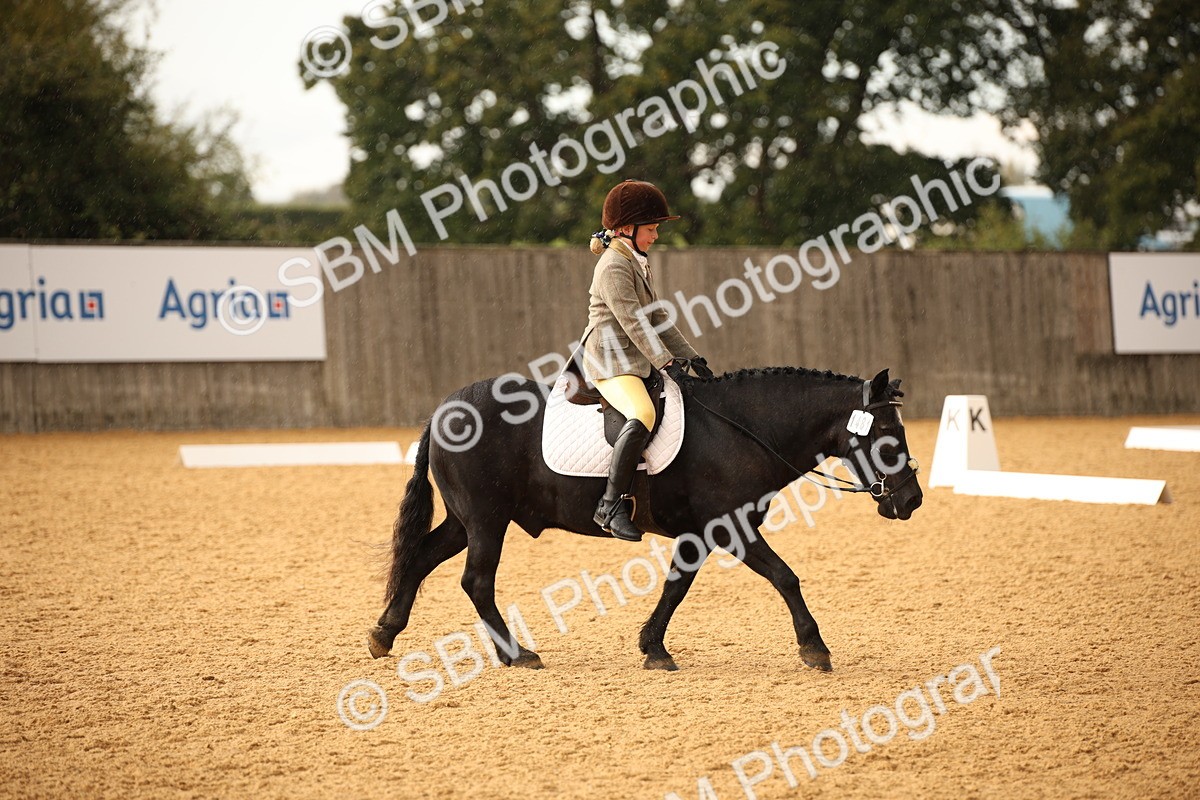 SBM_12373 - D3 Small  Tour Championship Intro A