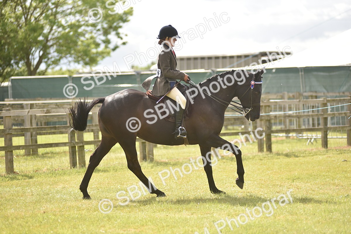 SBM_18112 - Class 122-123 - LIHS BHSA Raising Star Style and Performance Series