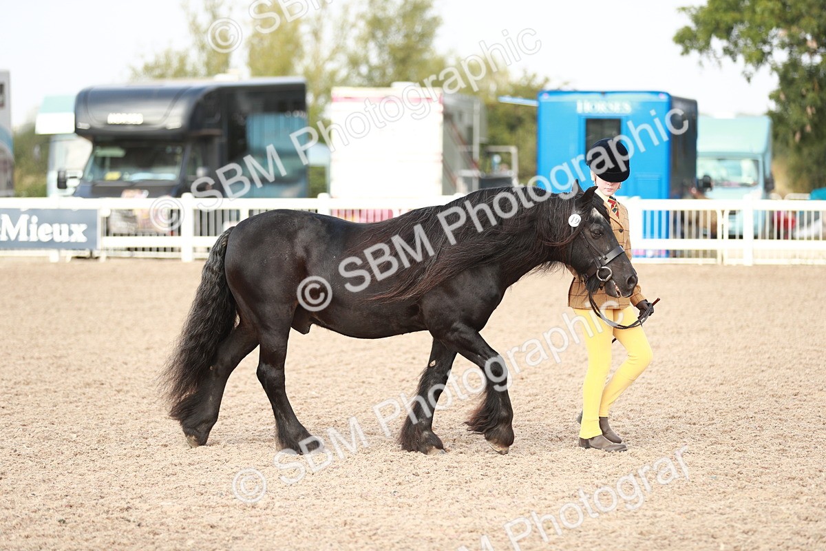 SBM_10498 - Class 204 Young Handler, 11-16 years
