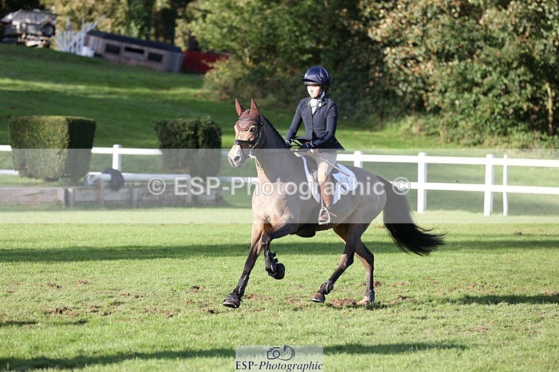 231022-155433-30000 - 558-BATHLEYHILLS.GOLDEN.SPRAY-Cleo.Whitbread-TrotUp+SJ