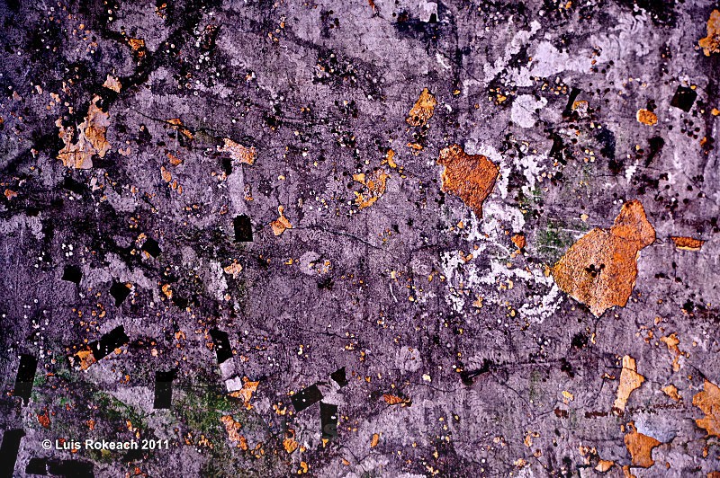 Fleurs Orange - Abstractions in Brussels