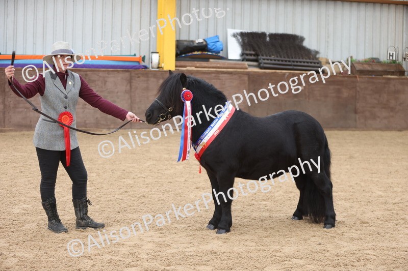 20251109-0130 - Championship