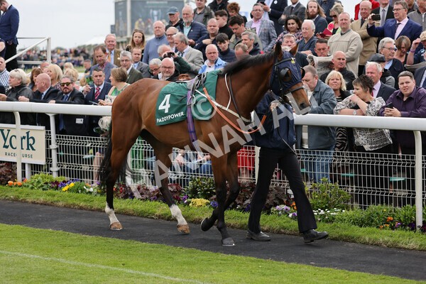 yr13052022r4-11 - Race 4 3.35pm The Paddy Power Yorkshire Cup (British Champions Series Race)