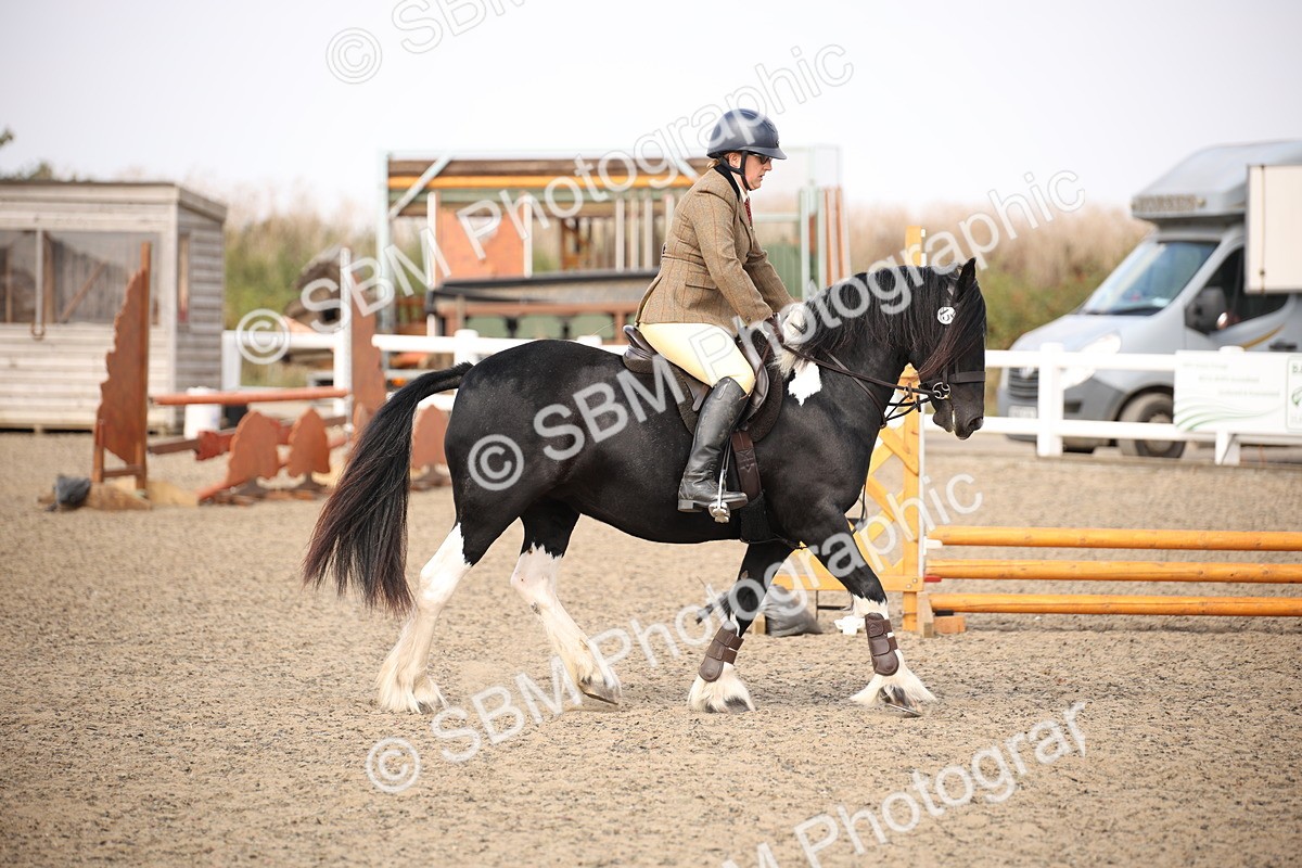 SBM_14211 - Class 407a - Working Veteran 60cm (15-19