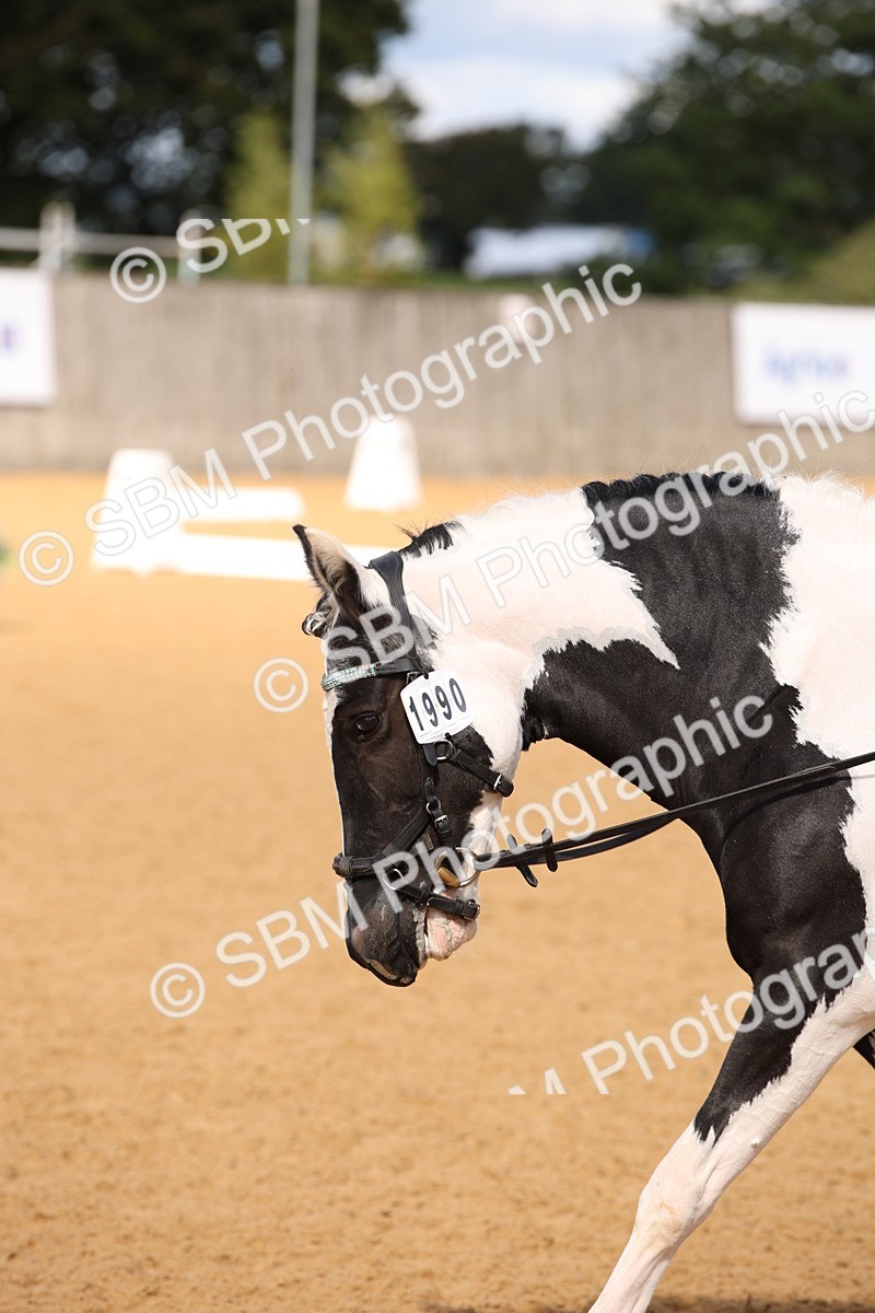 SBM_06655 - D8 Small Tour Championship Prelim 7