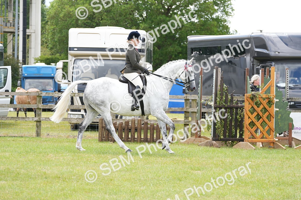 SBM_16155 - Class 105-106 - RIHS Riding Horses