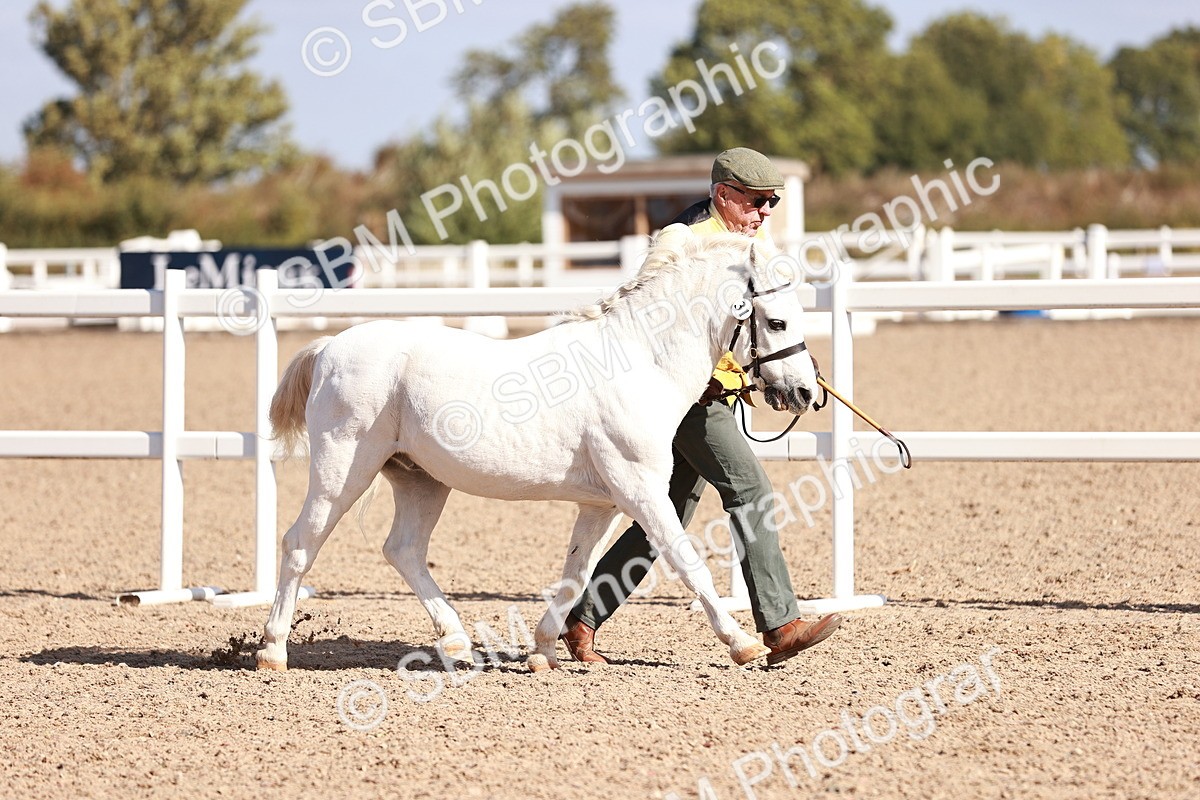 SBM_22763