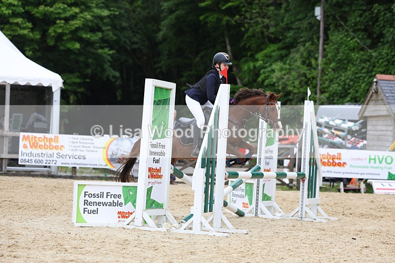 3E7A0091 - Class 13: Pony British Novice/80cm open