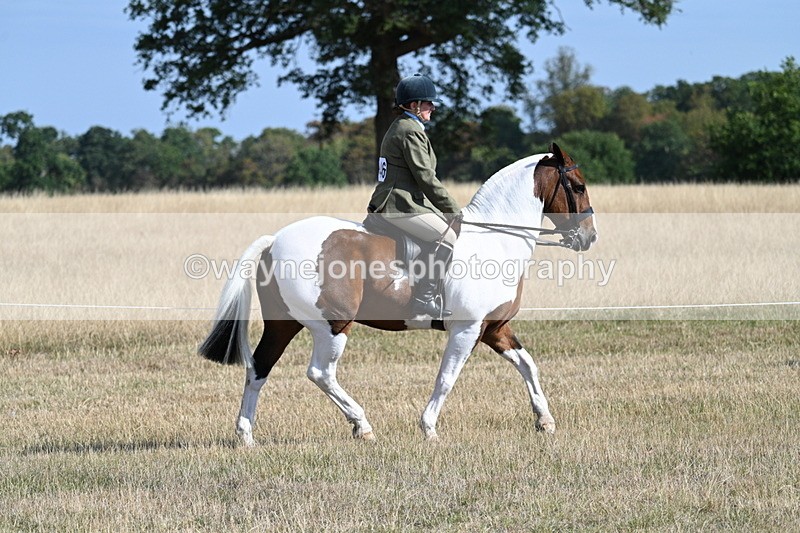 WJ7_2812 - Class 8 Ridden Tack & Turnout