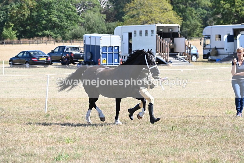 WJ6_4552 - Class 17 Mountain & Moorland