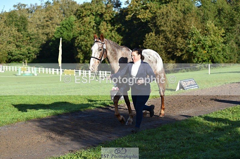 231022-093628-21911 - 412-KELTEK.LUDO-Tracey.Neville-TrotUp+SJ