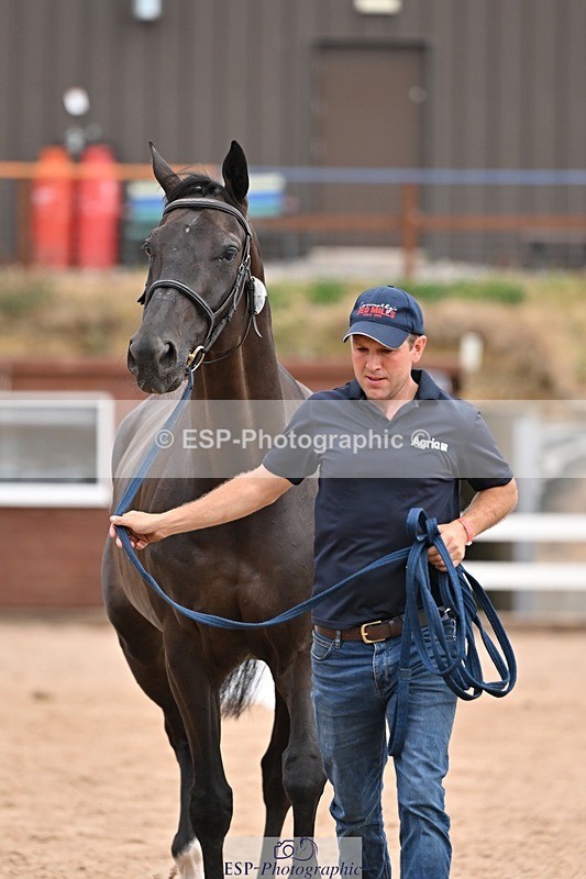 250716-152555-01940 - Trot Up 2.30 to 3.30