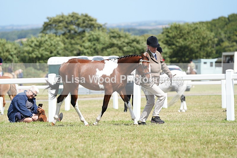 DSC07262 - Class 67: NPS SP Youngstock