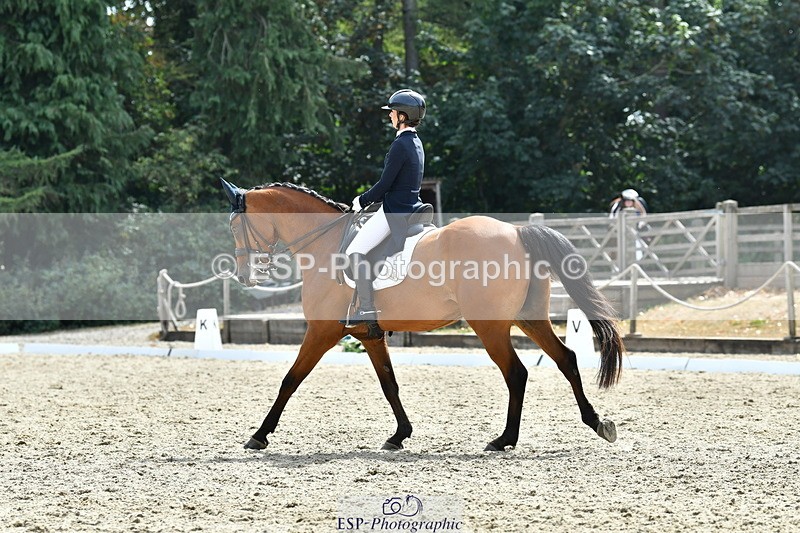 260802A-153431-07506 - Intermediate Bronze