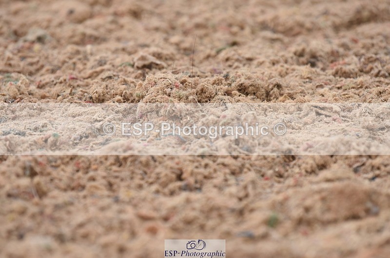 230708A-113330-01613 - Prelim 7