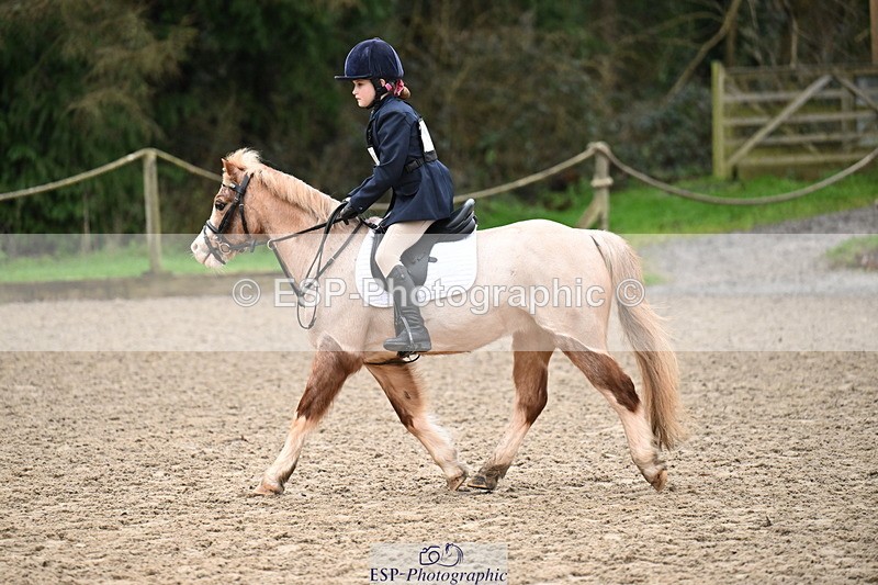 260222A-093053-00132 - 40cm Lead Rein and Assisted