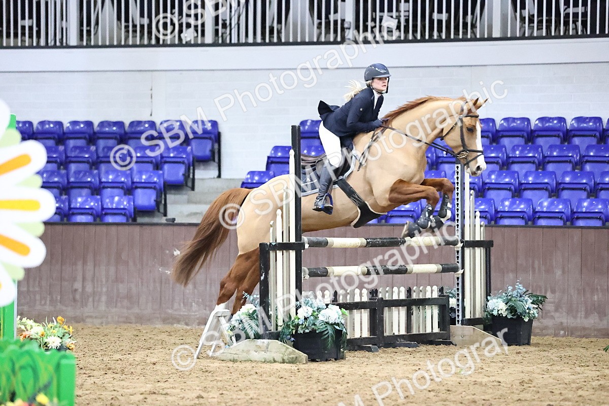 SBM_2065 - Class 8 - Nupafeed Supplements Senior Discovery/ 1m Open