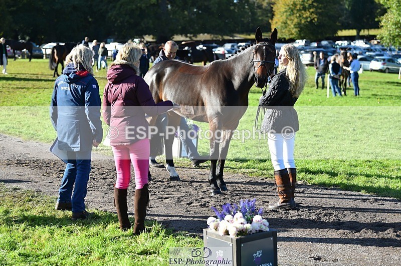 231022-104342-22697 - 481-DUKES.VISION-Abi.Stuart-TrotUp+SJ