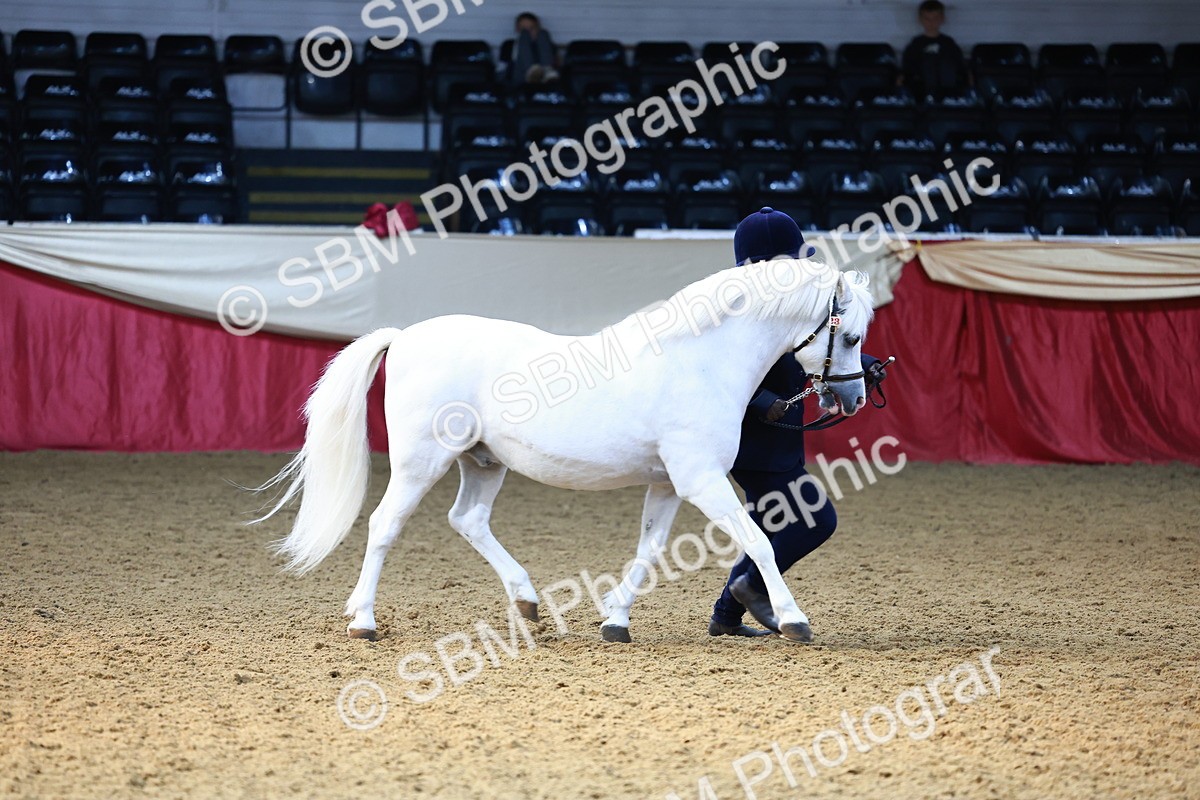 SBM_22315 - Class 902 - Supreme Final - IH Diamond