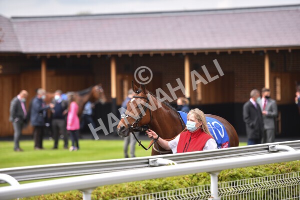 yr12052021r1-5 - Race 1 1.40pm Sky Bet Race to the Ebor Jorvik Stakes